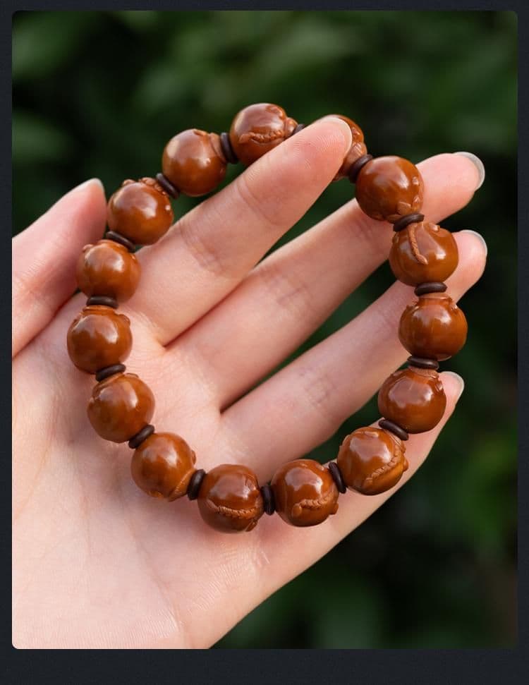 Premium Aspects of Life Bracelet