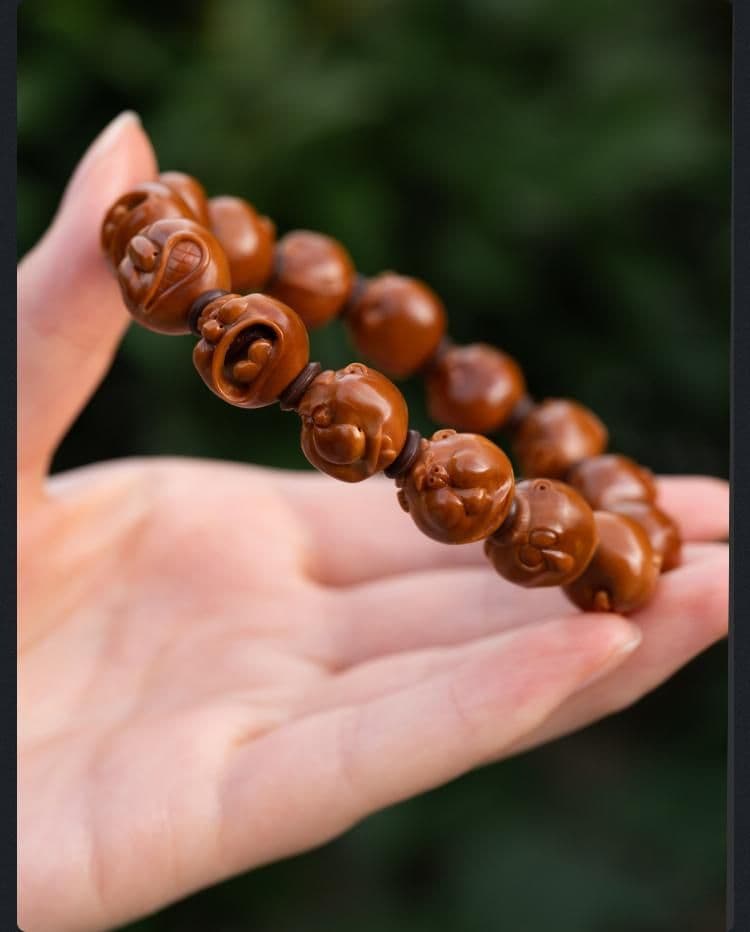 Premium Aspects of Life Bracelet