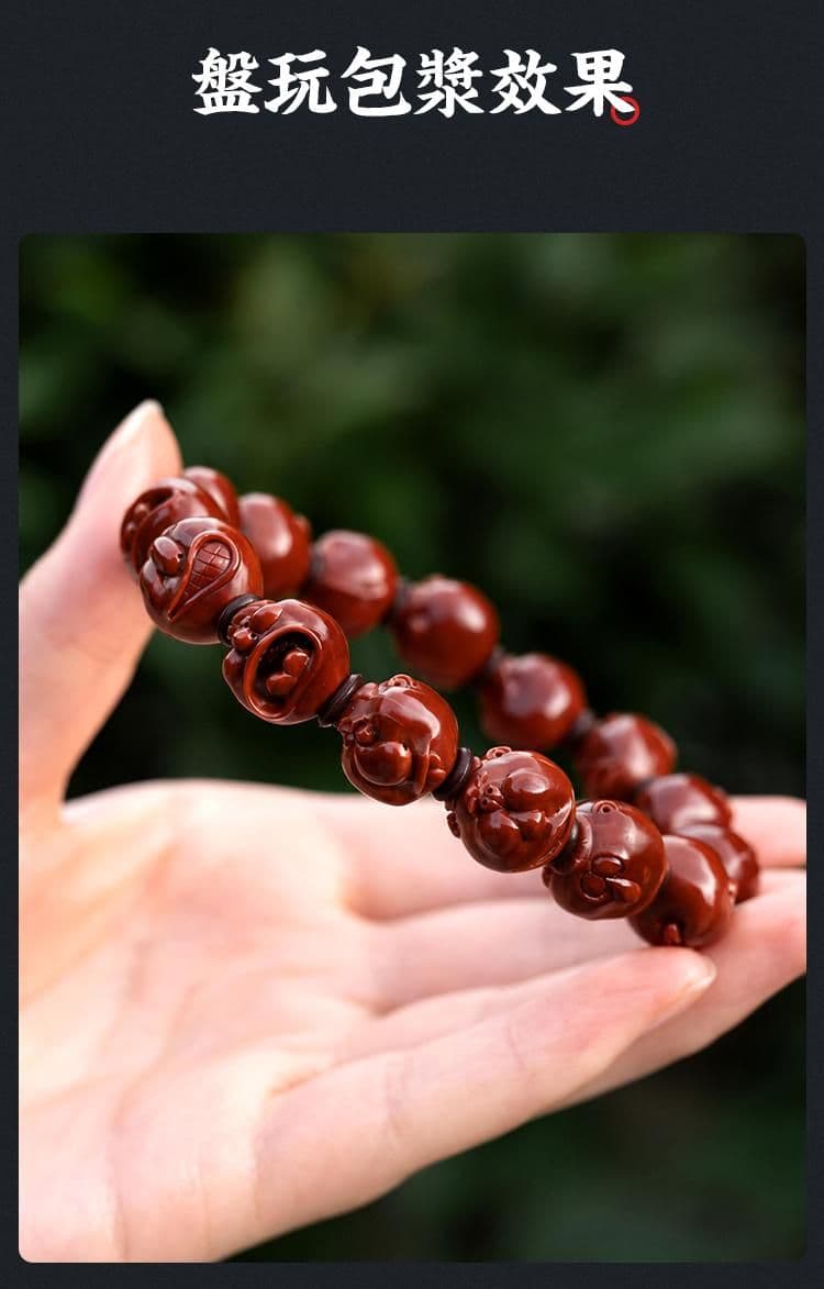 Premium Aspects of Life Bracelet